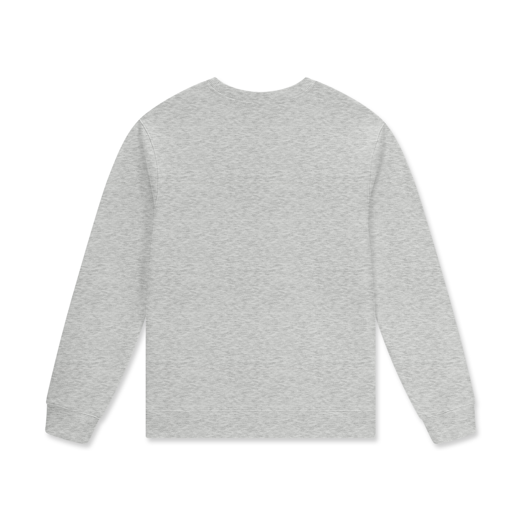 Rear view of a grey long-sleeve shirt on a white background