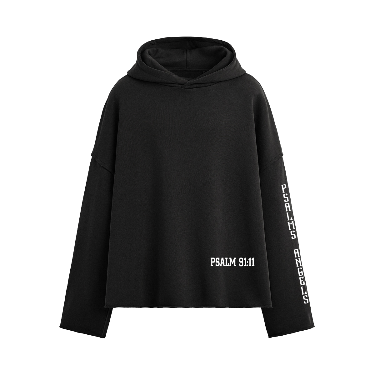 Psalm 91:11 Unisex Boxy 460GSM Heavyweight Hoodie Plus1