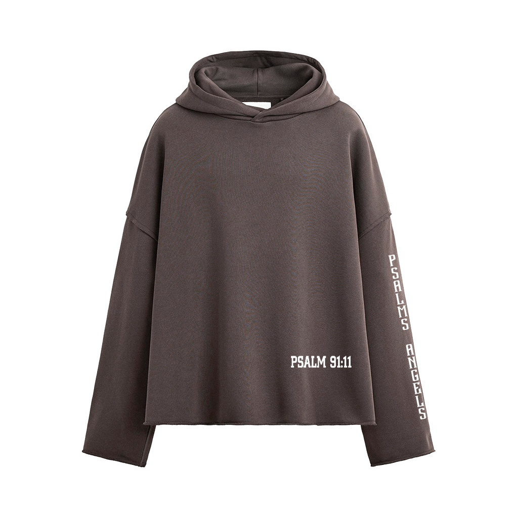 Psalm 91:11 Unisex Boxy 460GSM Heavyweight Hoodie