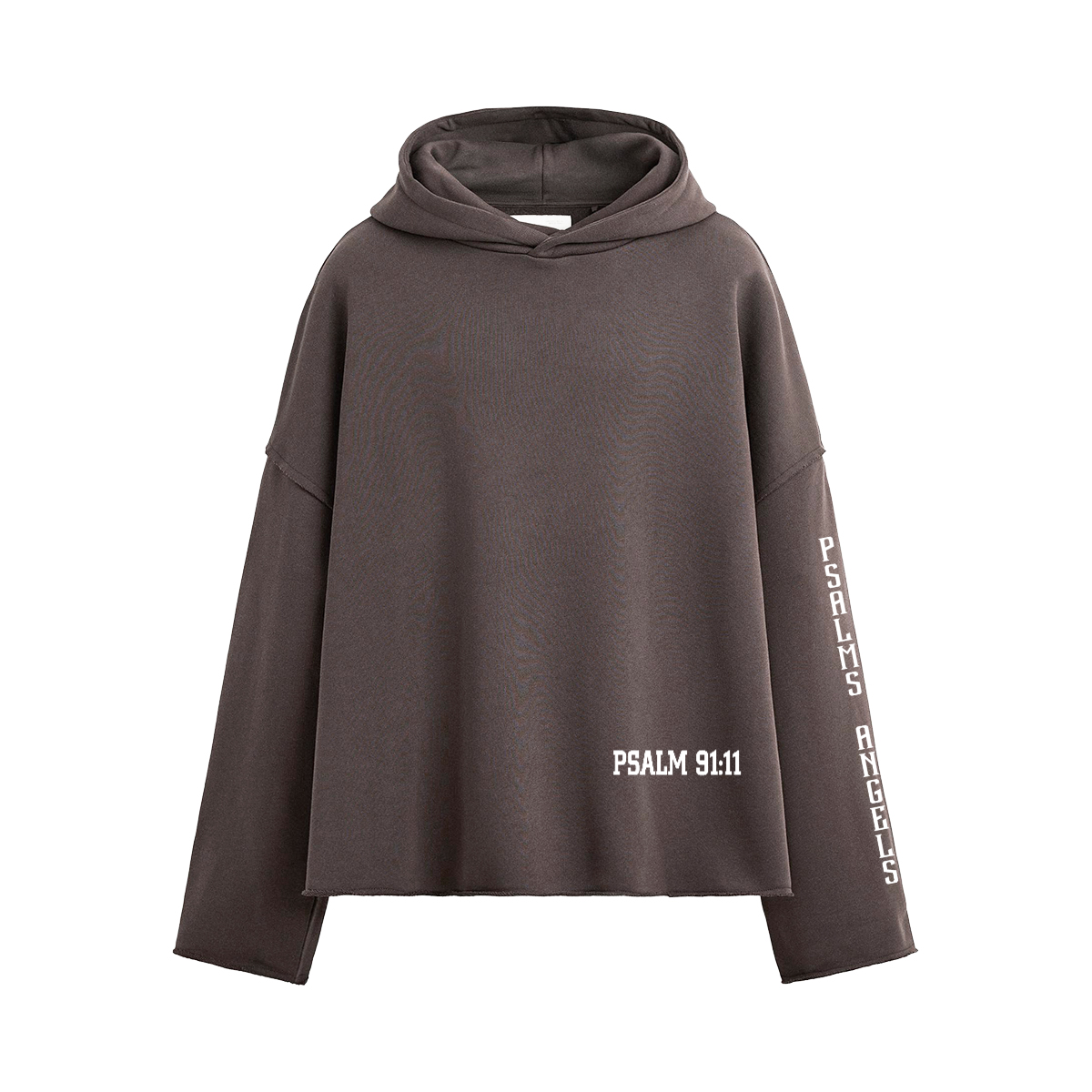 Psalm 91:11 Unisex Boxy 460GSM Heavyweight Hoodie Plus1