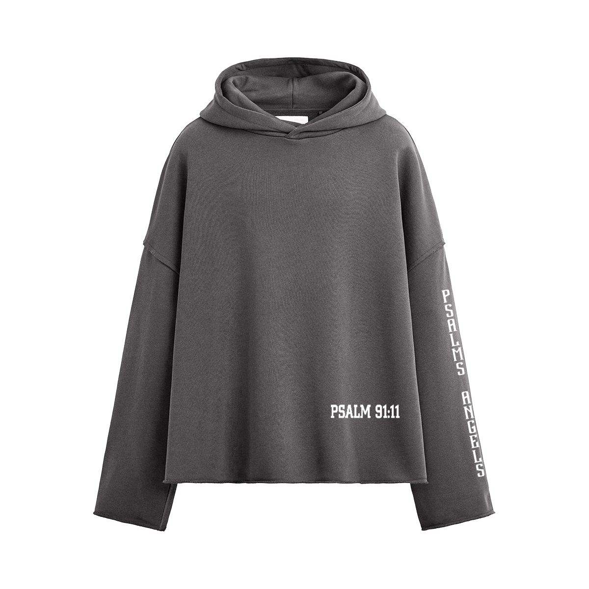 Psalm 91:11 Unisex Boxy 460GSM Heavyweight Hoodie Plus1