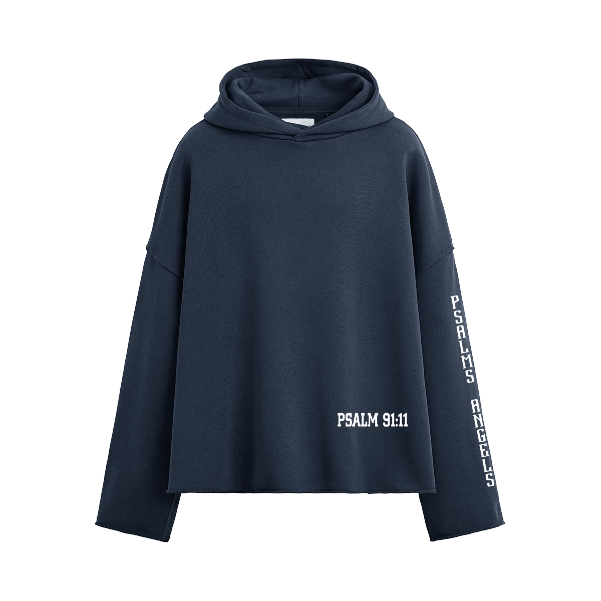 Psalm 91:11 Unisex Boxy 460GSM Heavyweight Hoodie Plus1