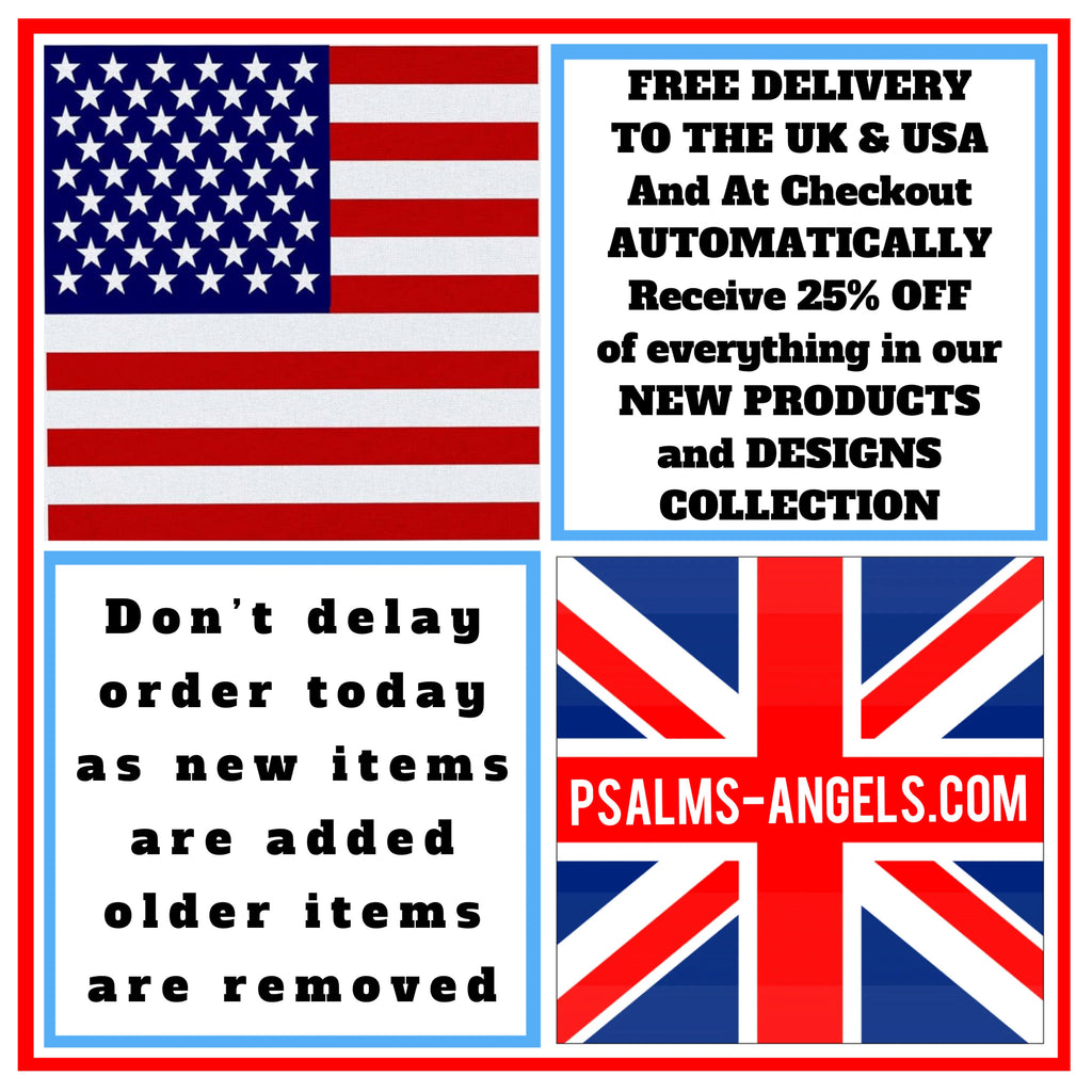 Psalms Angels "The Shield" Unisex Oversized Boxy Lux Tee Armour