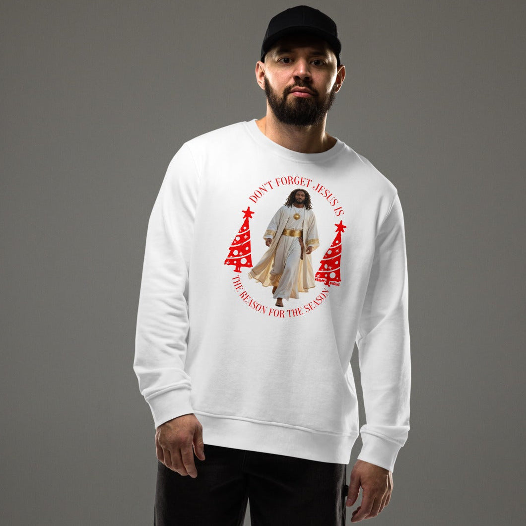 Jesus is the reason for the season Christmas themed sweatshirt
